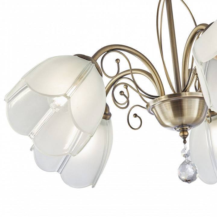 Подвесная люстра Arte Milano Amalfi-2656 5xE14 332656/5 AB