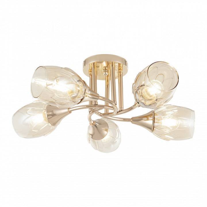 Потолочная люстра Arte Milano Napoli-6366 336366/5 FGD