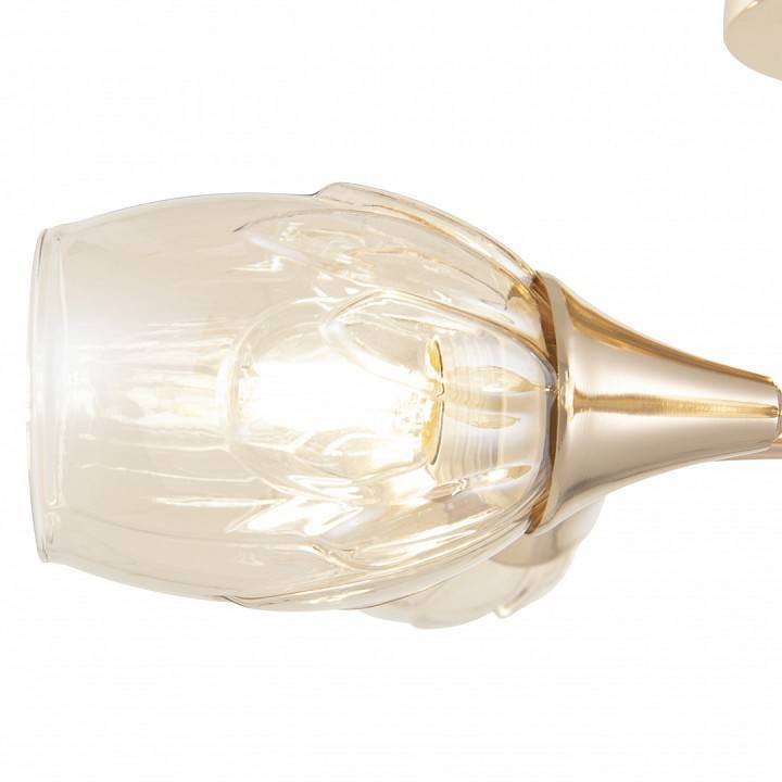 Потолочная люстра Arte Milano Napoli-6366 336366/5 FGD