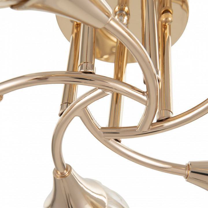 Потолочная люстра Arte Milano Napoli-6366 336366/5 FGD