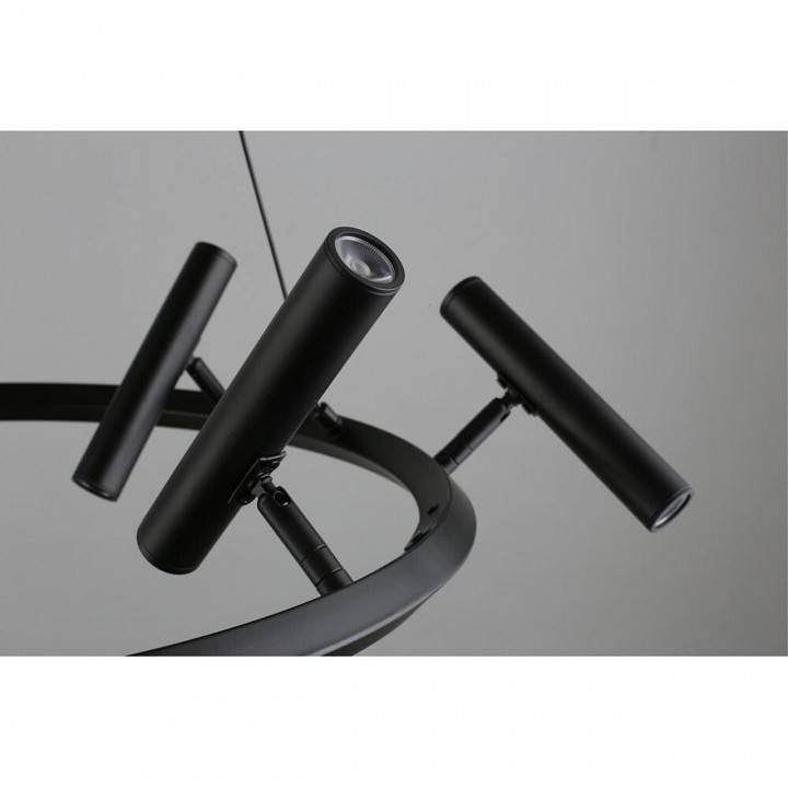 Подвесная люстра Aployt Honor APL.067.03.40