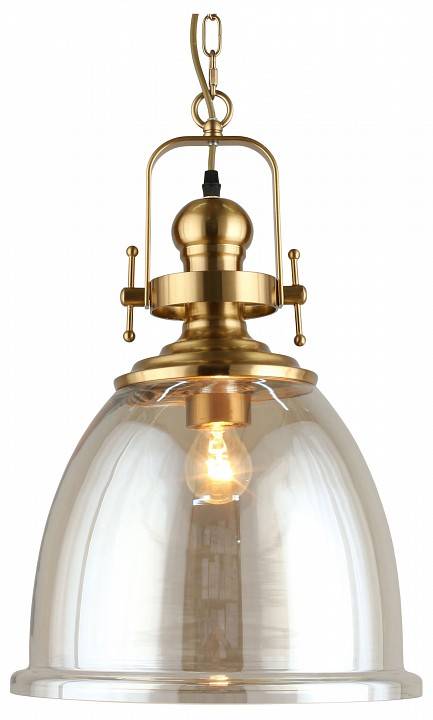 Подвесной светильник Aployt Darunia APL.629.16.01