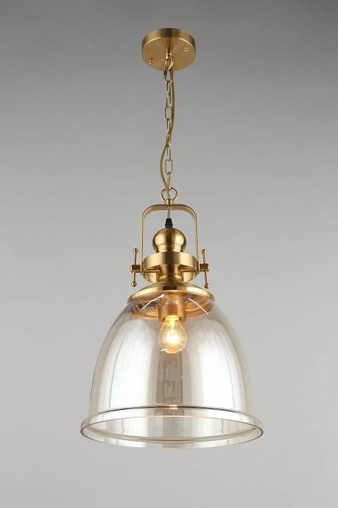 Подвесной светильник Aployt Darunia APL.629.16.01