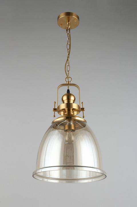 Подвесной светильник Aployt Darunia APL.629.16.01