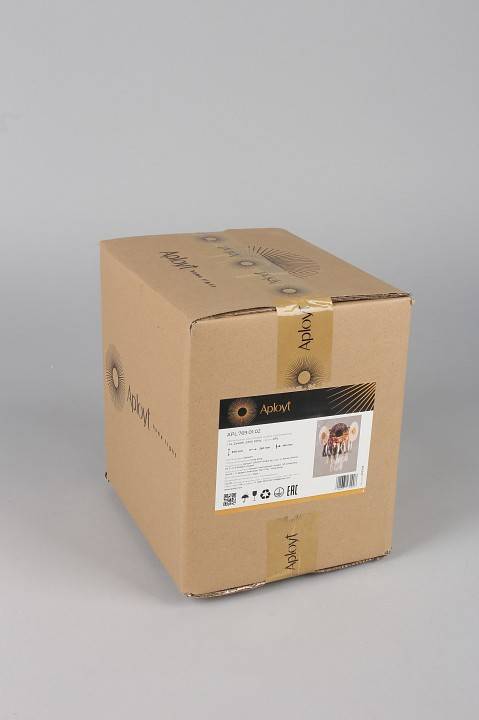 Бра Aployt Zibille APL.769.01.02