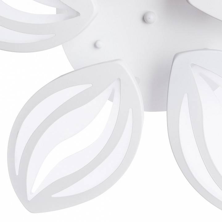 Люстра на штанге Arte Lamp Daisy 5 ламп A1098PL-5WH