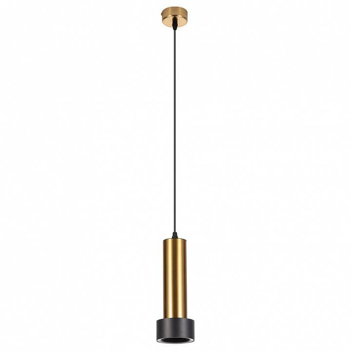 Подвесной светильник Arte Lamp Ran A3147SP-1PB