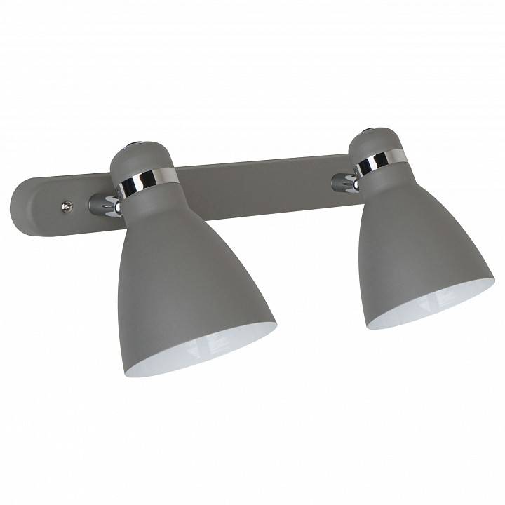 Спот Arte Lamp Mercoled 2 лампы серый A5049AP-2GY