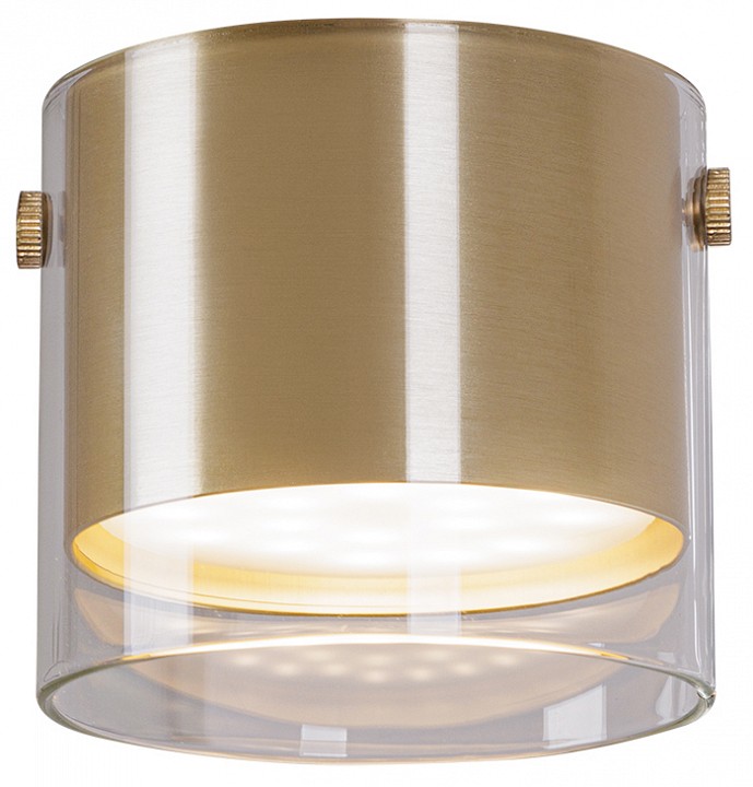 Накладной светильник Arte Lamp Lazio A5366PL-1SG