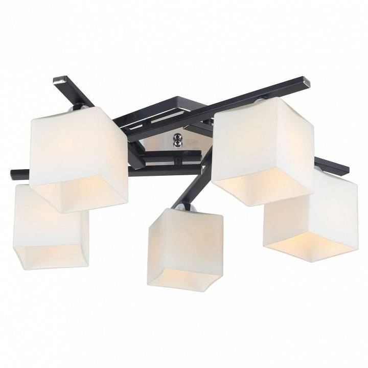 Потолочная люстра Arte Lamp Visuale 5 ламп A8165PL-5BK