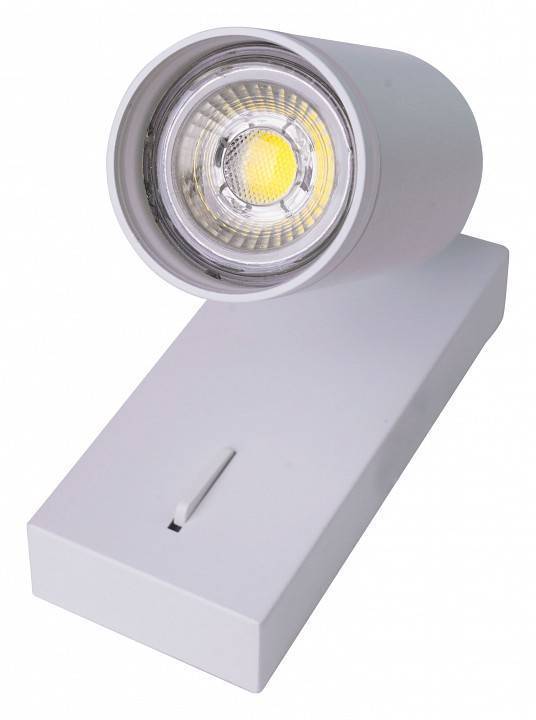 Бра Brizzi Aras BR08079