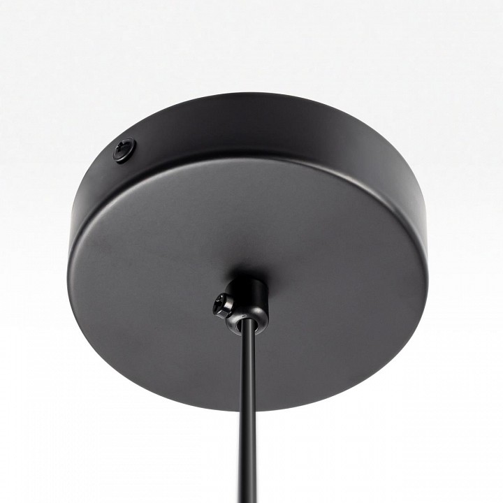 Подвесной светильник Citilux ORTON CL202022