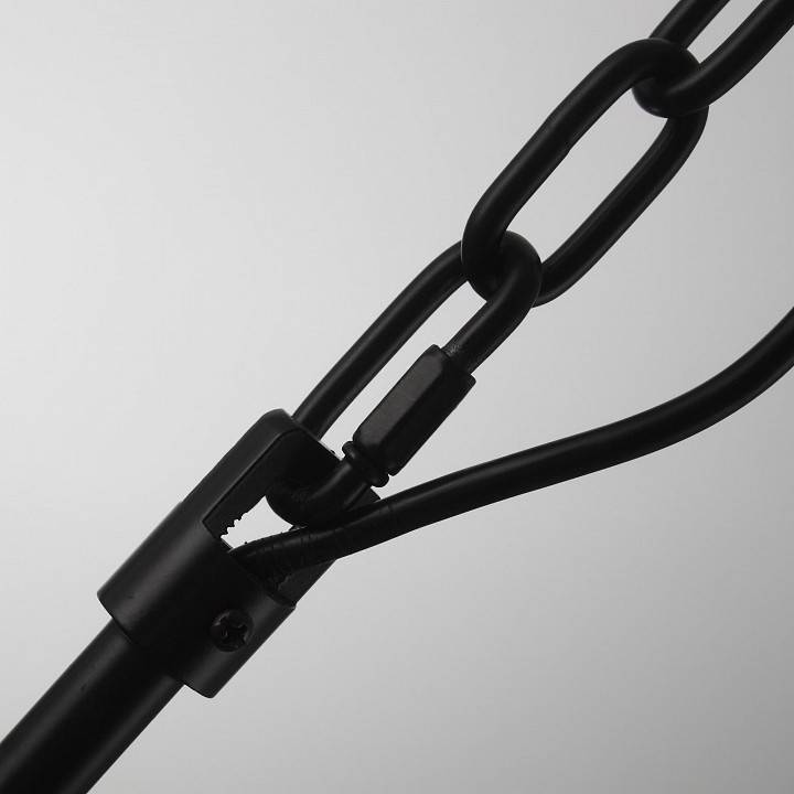 Подвесная люстра Citilux Мартин 2 лампы CL332122