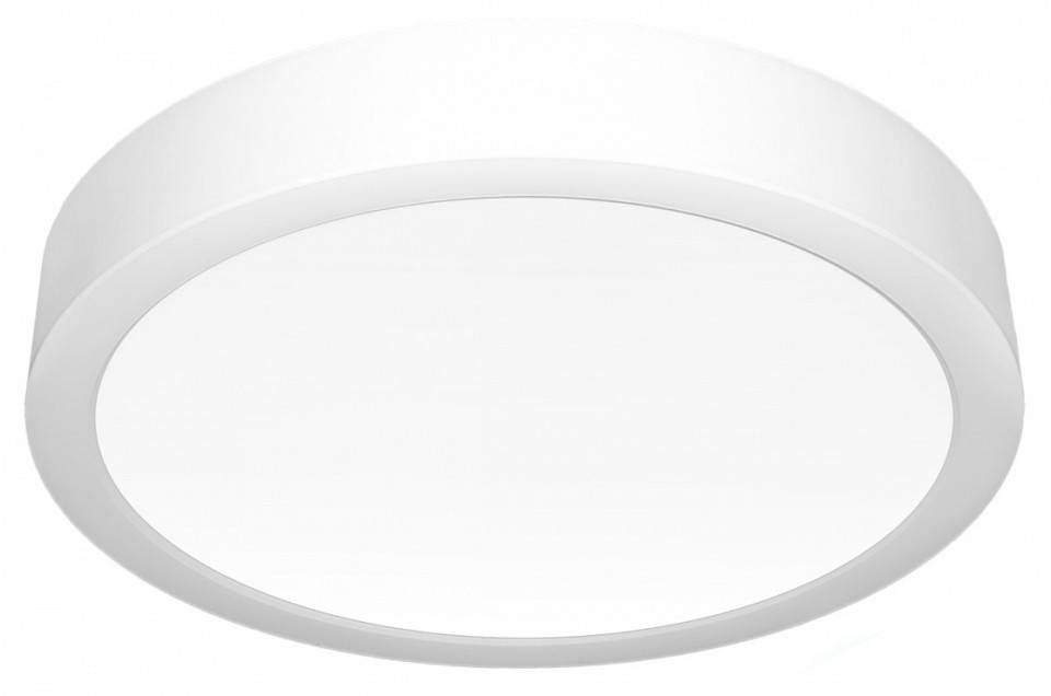 Накладной светильник Citilux Галс CL5516N