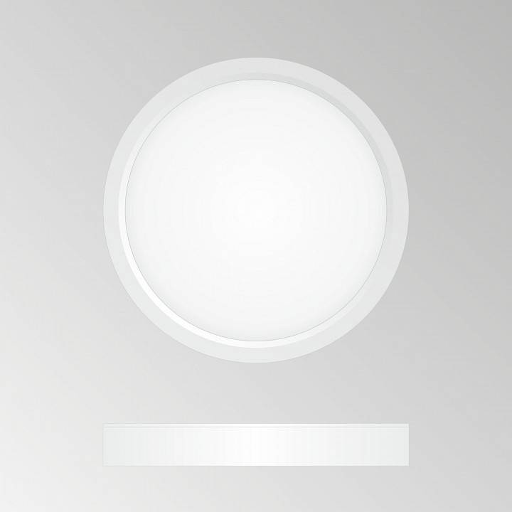 Накладной светильник Citilux Бейсик CL738120N