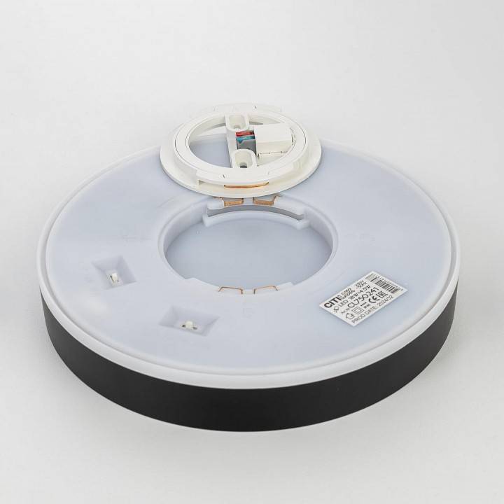 Накладной светильник Citilux Etalon CL750241