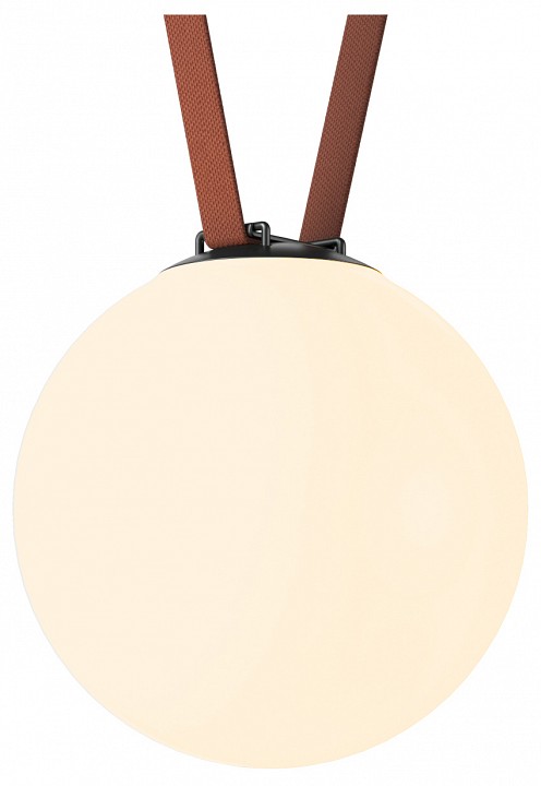 Накладной светильник Denkirs Belty Orb DK5555-BK