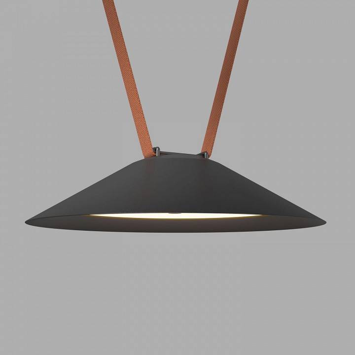 Накладной светильник Denkirs BELTY FLOW DK5565-BK