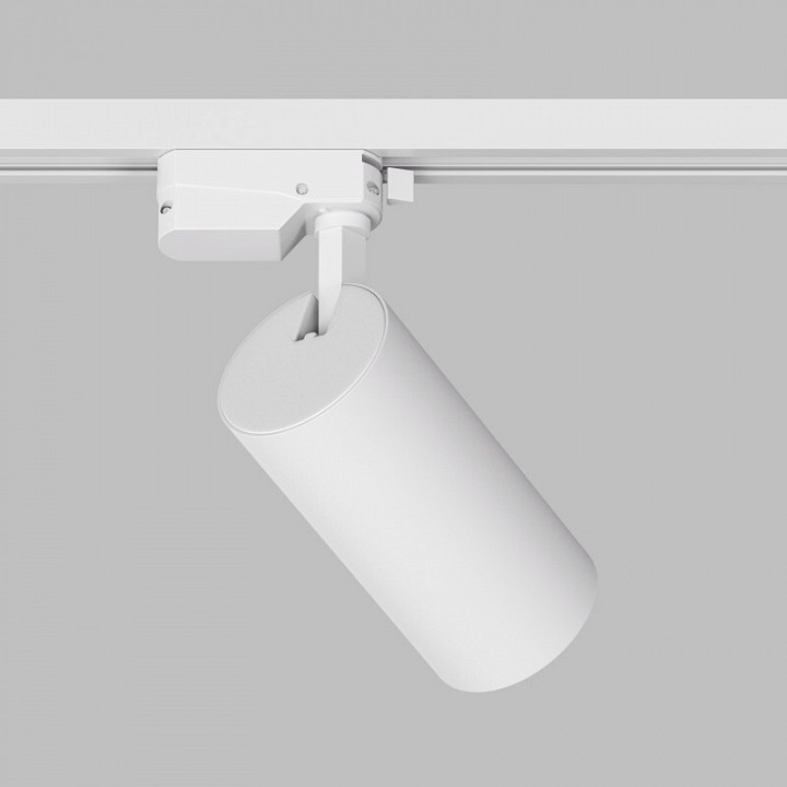 Светильник на штанге Denkirs  DK6454-WH