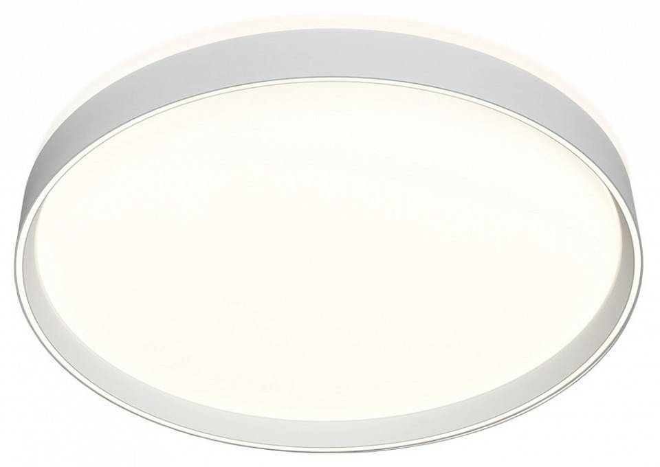 Накладной светильник Denkirs PLATO DK6511-WH