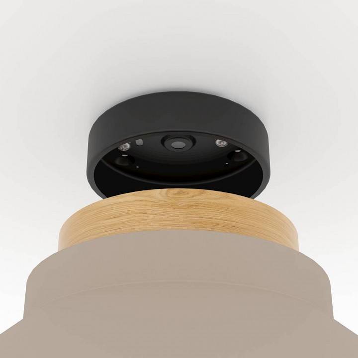 Накладной светильник Eglo Moharras 260 мм 900736