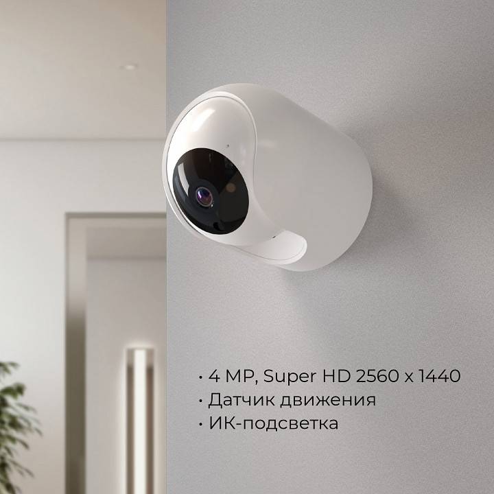 Видеокамера безопасности Elektrostandard WF a069149