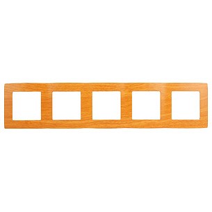 Рамка на 5 постов Эра Эра 12 12-5005-07