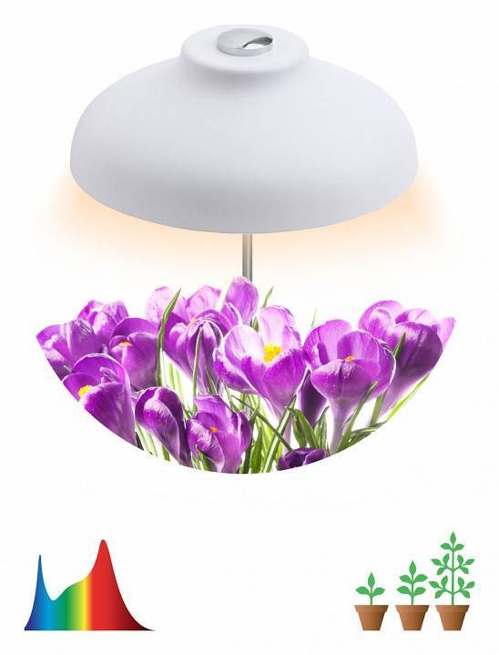 Светильник для растений ЭРА MG-TG-003 7 Вт