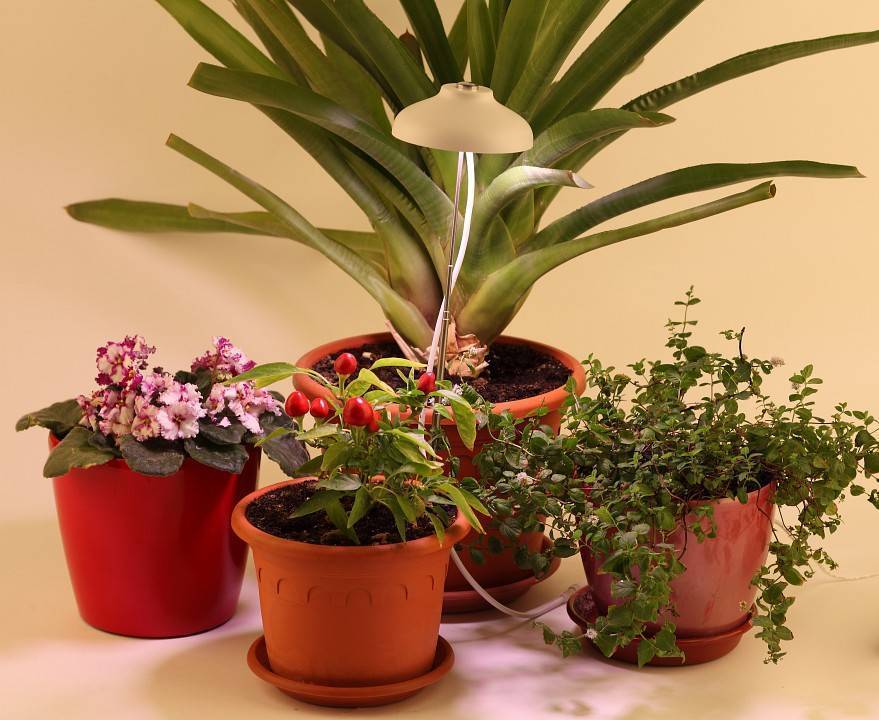 Светильник для растений ЭРА MG-TG-003 7 Вт