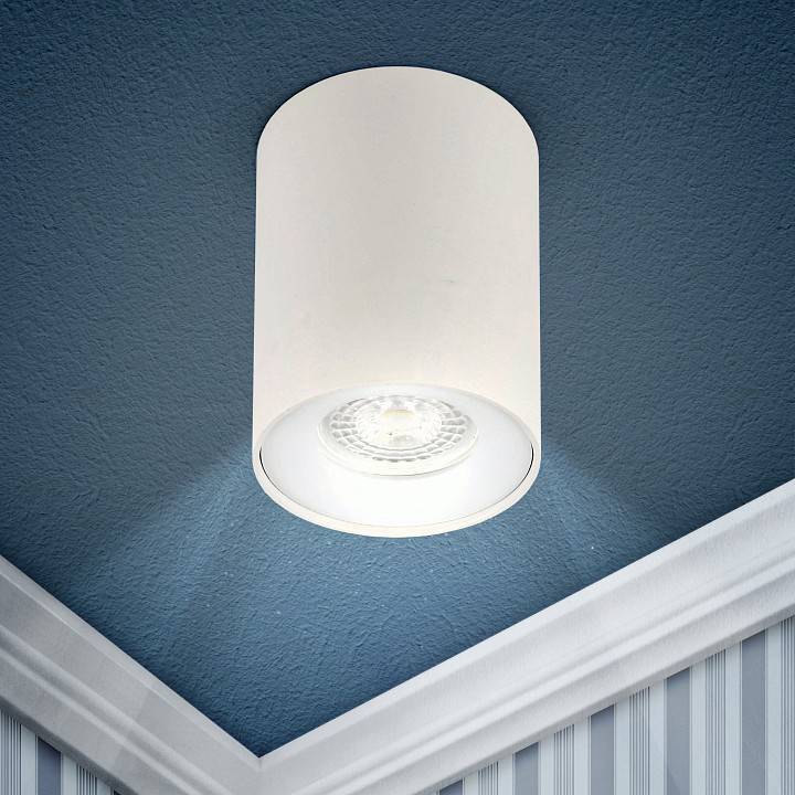 Светильник накладной ЭРА OL1 GU10 WH белый Б0041503