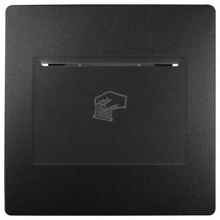 Накладка для карточного выключателя ЭРА 12 антрацит 12-6201-05