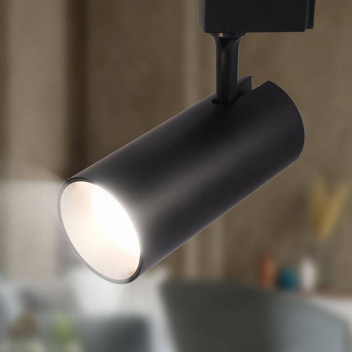 Светильник на штанге Эра  TR5-30 COB BK