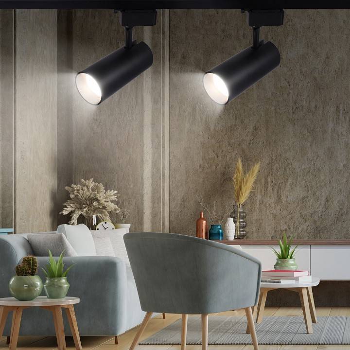 Светильник на штанге Эра  TR5-30 COB BK