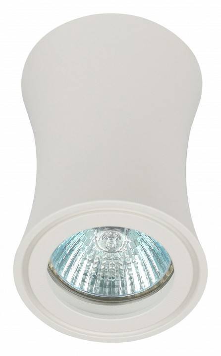 Светильник накладной ЭРА OL19 белый Б0054388