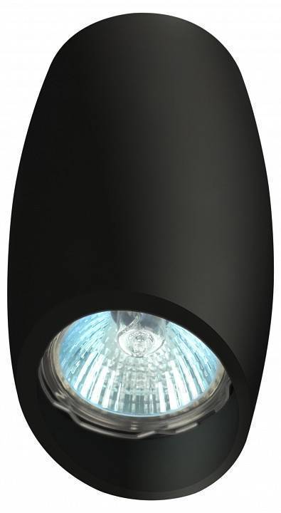 Светильник накладной ЭРА OL20 черный Б0054389