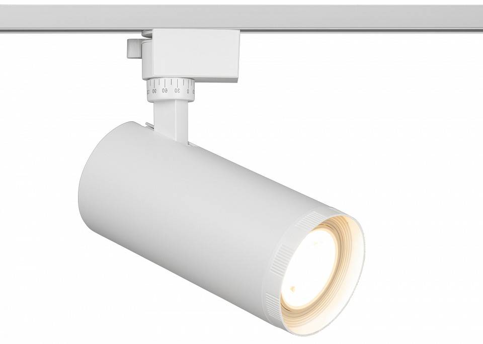 Светильник на штанге Эра  TR59 - 3030 WH