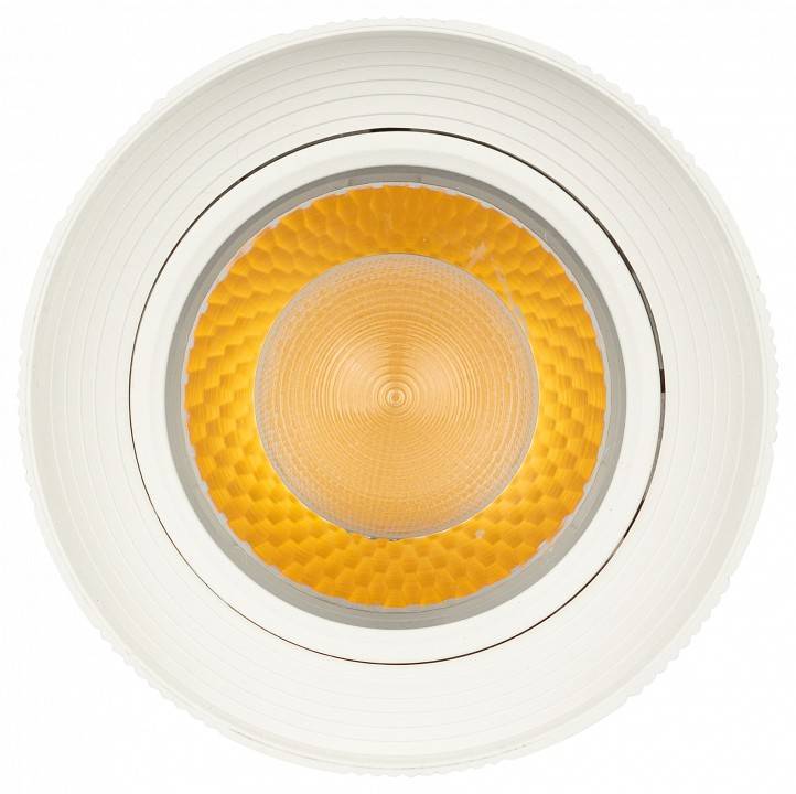 Светильник на штанге Эра  TR59 - 3030 WH