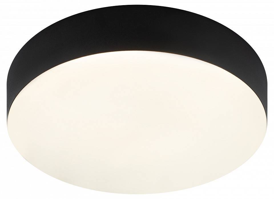 Накладной светильник Эра Relict Relict 22 SPB-6-20 4К BK