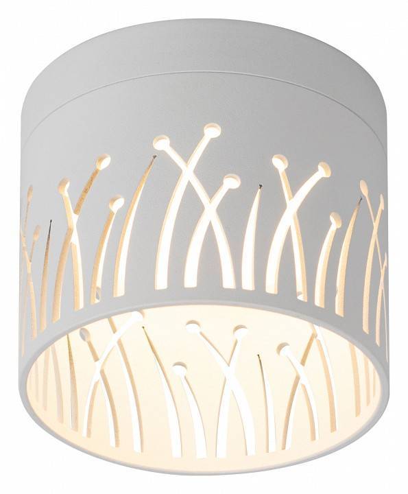 Накладной светильник Эра OL54 WH Б0061191