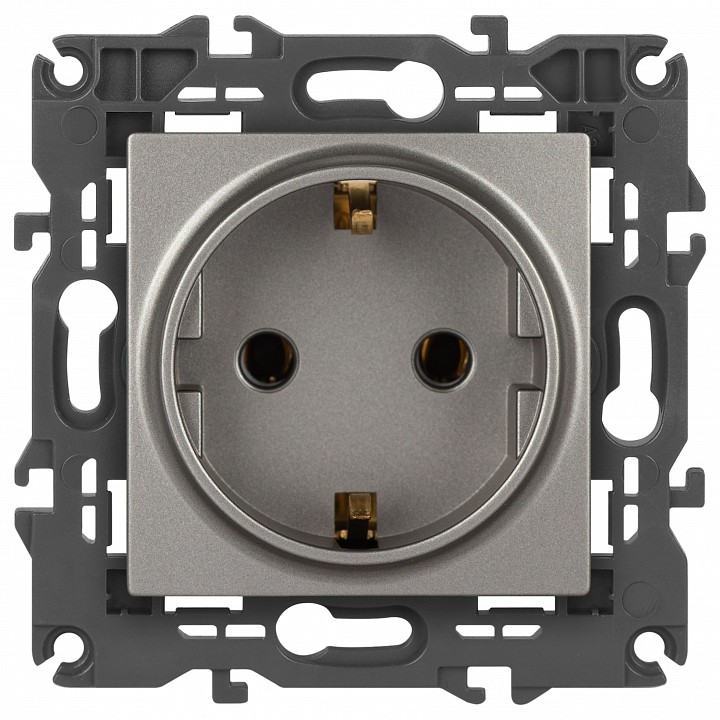 Розетка с заземлением, без рамки Эра Эра Elegance 14-2101-16
