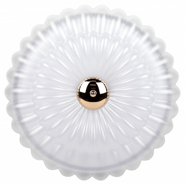 Накладной светильник Эра  SPB-6 Chester 48W-5K WH+GD