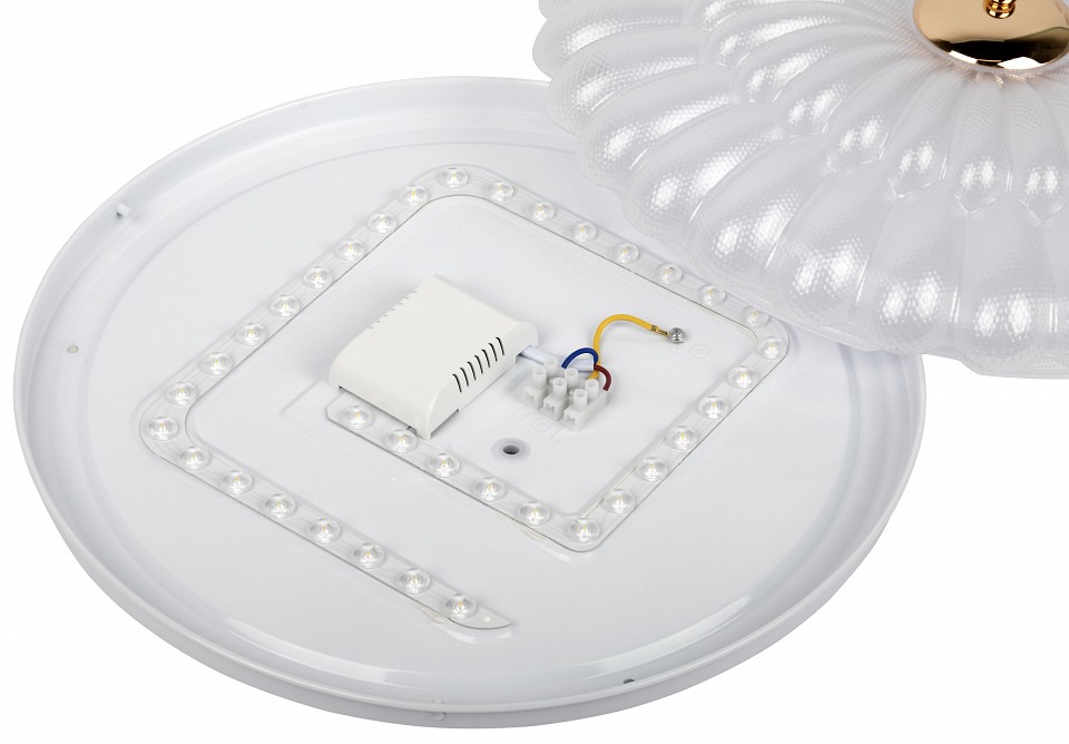 Накладной светильник Эра  SPB-6 Chester 48W-5K WH+GD