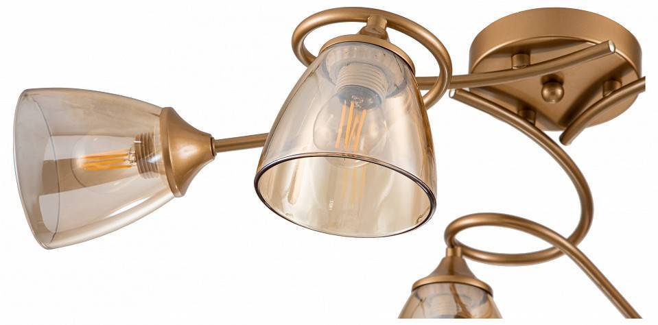 Потолочная люстра Escada Celosia 1112/6P