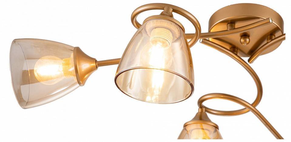 Потолочная люстра Escada Celosia 1112/6P