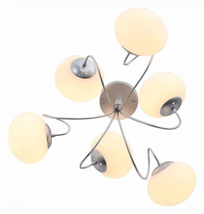 Потолочная люстра EVOLUCE Acini SL717.502.06