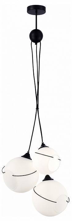Подвесная люстра EVOLUCE Satturo 3 лампы SLE103183-03