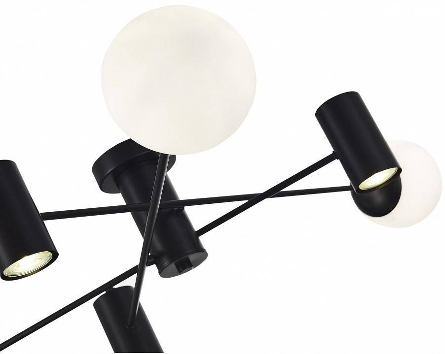 Потолочная люстра EVOLUCE Raito SLE1105-402-06