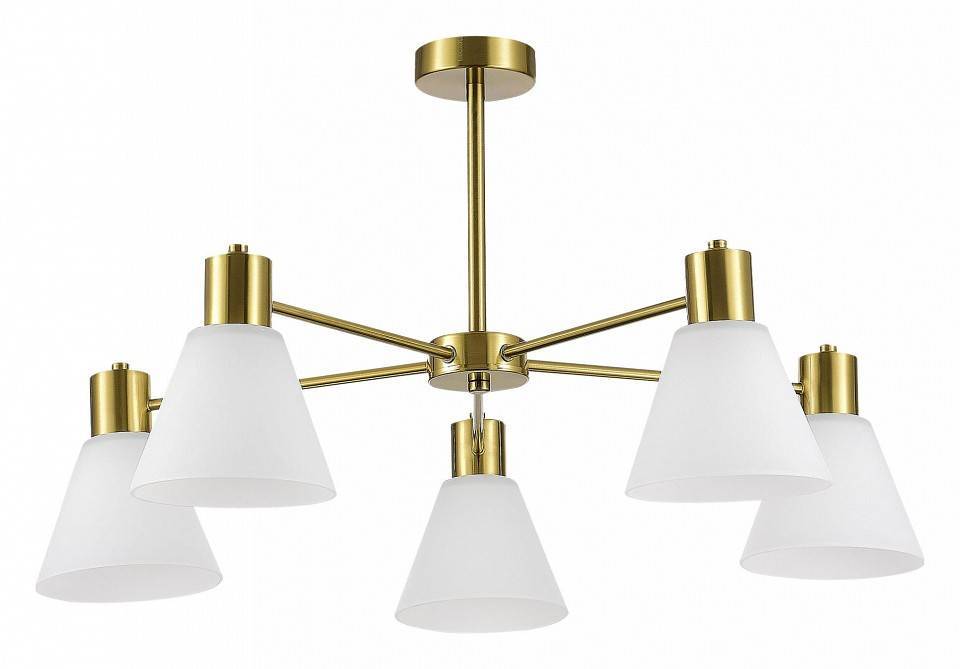 Люстра на штанге EVOLUCE Arki 5 ламп SLE1561-302-05