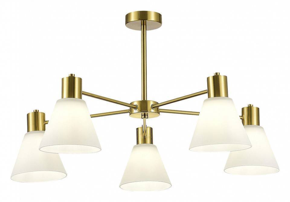 Люстра на штанге EVOLUCE Arki 5 ламп SLE1561-302-05