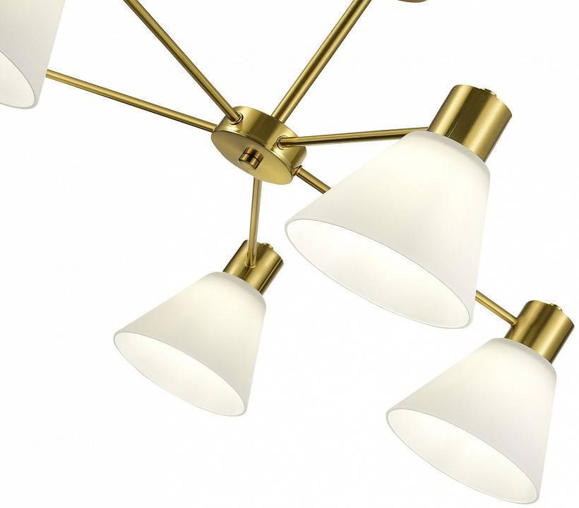 Люстра на штанге EVOLUCE Arki 5 ламп SLE1561-302-05